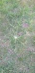 20200910_154544.jpg