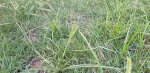 20200910_154602.jpg
