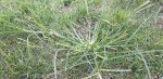 20200910_154611.jpg