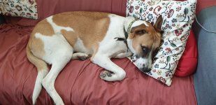 20210613_155326.jpg 20210613_155326.jpg