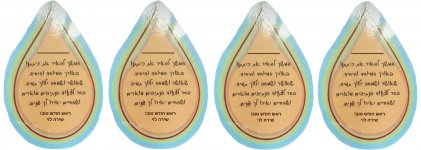 Screenshot_20211021-000523_Pinterest - 23עותק.jpg