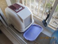 קופסת החול סגורה במרפסת קטנה עם תוספת נחוצה של מגש.JPG קופסת החול סגורה במרפסת קטנה עם תוספת נחוצה של מגש.JPG