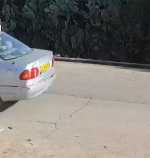אפור.PNG