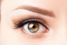 female-eye-with-long-eyelashes-beautiful-makeup-light-brown-eyebrow-close-up.jpg