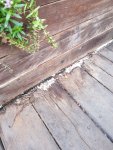 20200924_181204.jpg