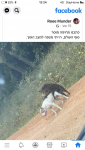 1601717345179.png 1601717345179.png