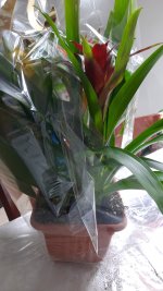 IMG-20220114-WA0043.jpeg