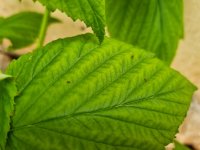 WhatsApp Image 2022-05-14 at 11.13.33.jpeg