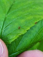 WhatsApp Image 2022-05-16 at 17.39.36.jpeg