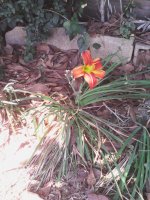 IMG_20201018_094947.jpg