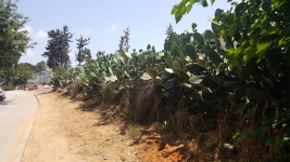 1655542097019.png 1655542097019.png