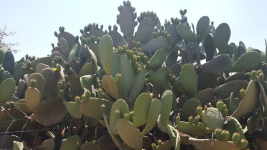 1655542166129.png 1655542166129.png