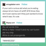 WhatsApp Image 2022-07-02 at 1.23.55 PM.jpeg