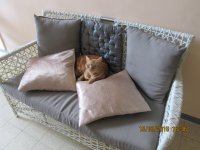 ספה רכה עם אריג צפוף   וחזק,  כריות רכות.JPG