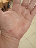 WhatsApp Image 2022-08-02 at 21.57.31.jpeg