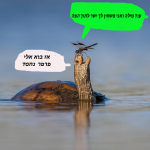 בוא אלי פרפר נחמד.png