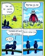 FB_IMG_1659980049483.jpg