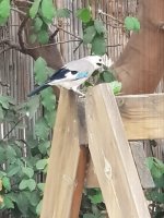 WhatsApp Image 2020-11-02 at 12.55.40.jpeg