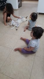 IMG-20220823-WA0005.jpeg