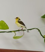 WhatsApp Image 2020-11-29 at 13.38.25.jpeg