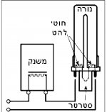 PL פלורסנט.jpg