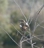 30.11.20 נחשולים.jpg