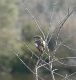 30.11.20 נחשולים.jpg 1.jpg