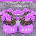 1673594637115.png