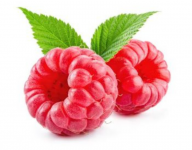 Untitled design (35).png