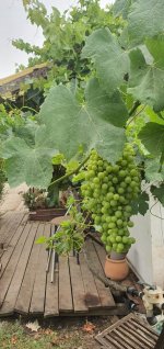 WhatsApp Image 2023-06-09 at 16.06.34.jpeg