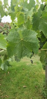 WhatsApp Image 2023-06-09 at 16.06.33 (1).jpeg