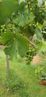 WhatsApp Image 2023-06-09 at 16.06.33.jpeg