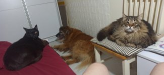 תמונה של WhatsApp‏ 2023-06-25 בשעה 14.22.27.jpg