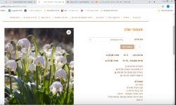 פעמוני שלג.jpg