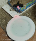 מלכודת פרעושים 2.jpg