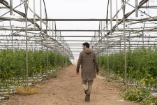 WhatsApp Image 2023-07-23 at 10.56.52.jpeg WhatsApp Image 2023-07-23 at 10.56.52.jpeg