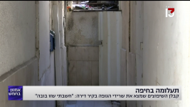 צילום מסך (25853).png