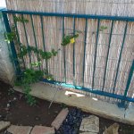 20201221_105428.jpg
