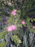 20201221_155543 (Medium).jpg