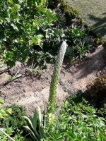 20201226_125627 (Medium).jpg