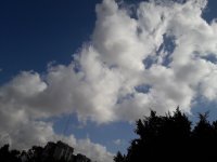 20201224_112634 (Medium).jpg