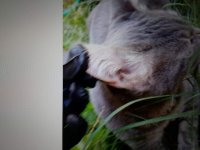 WhatsApp Image 2023-11-10 at 11.31.56.jpeg