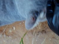 WhatsApp Image 2023-11-10 at 11.31.57 (1).jpeg