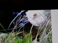 WhatsApp Image 2023-11-10 at 11.31.57.jpeg