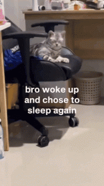 ezgif.com-resize (2).gif