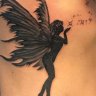 Broken wing Phoenix