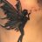Broken wing Phoenix